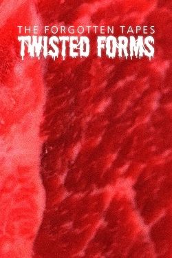 The Forgotten Tapes: Twisted Forms (2024) PC