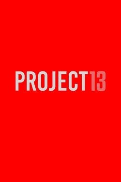 PROJECT 13 (2024) PC